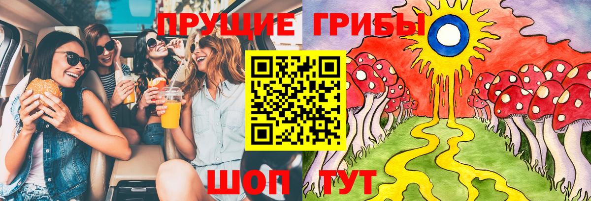 Псилоцибиновые грибы Psilocybe Подольск