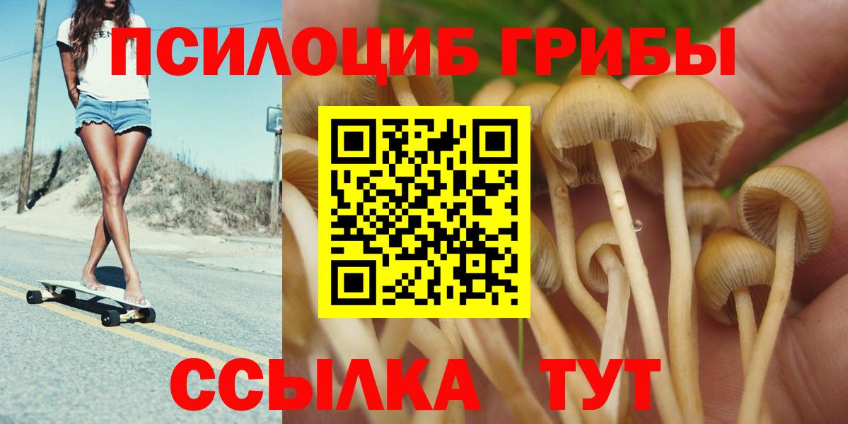 Подольск  Псилоцибиновые грибы MAGIC MUSHROOMS  Вход с VPN 